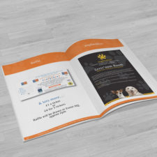Leaflets & Posters